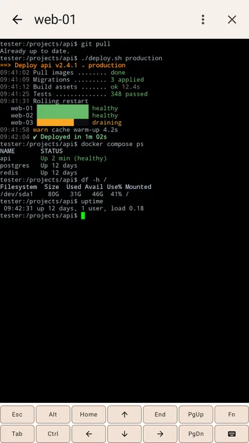An SSH session with the extra key rows